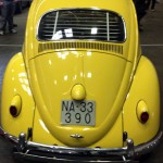 beetle