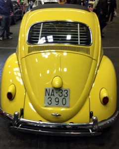 beetle