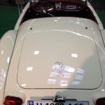 mg
